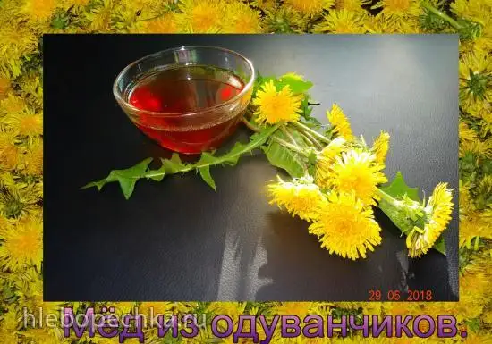 Мёд из одуванчиков (с квиттином)