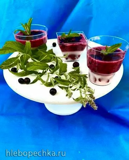 Панакотта из фруктового йогурта, черной смородины и черешни