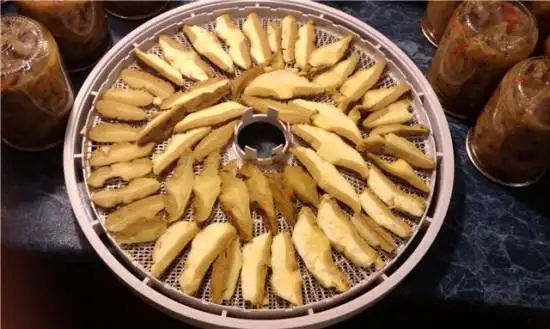 Грибы сушеные