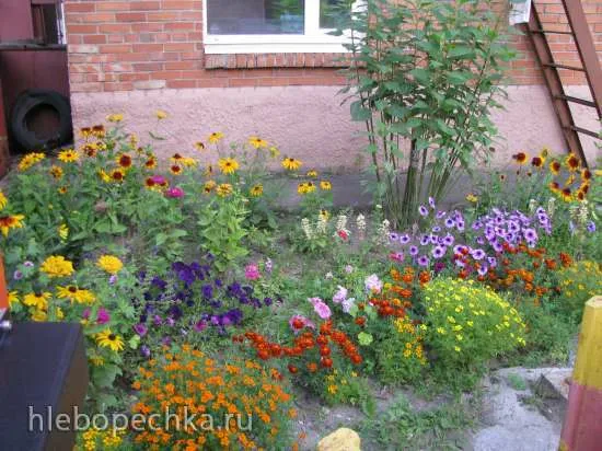 Загородная жизнь - обустройство на земле во всем разнообразии