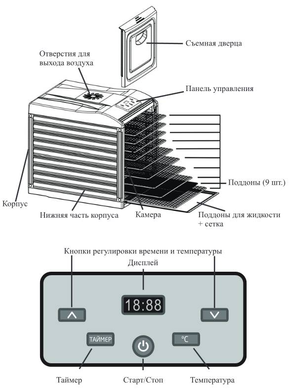 Kitfort KT-1909. Сушилка с девятью поддонами