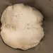 1040