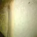 171442