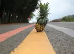 Ананасовая пропитка