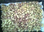 Белая шелковица сушенная