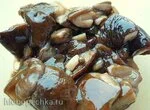 Грибы с красным вином и бальзамическим уксусом (мультиварка Brand 701)