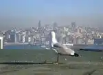 Скоро отпуск. Куда ехать?