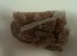 Берлинский холодец