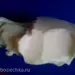 396785