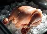 Замораживание курицы как профилактика заболевания