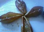 Груши, запечённые в микроволновке