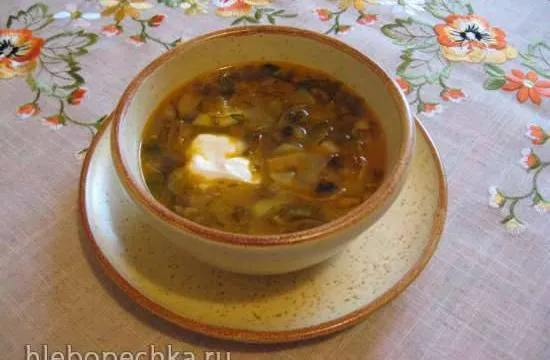 Грибная солянка (мультиварка Redmond RMC-02) - Хлебопечка.ру