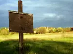 Особенности покупки земли у ЗАО