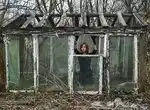 Что делать с теплицей после сбора урожая?