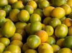 Майонез на кислых мандаринах