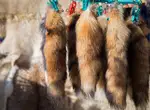 Мех норки ворсом вверх?