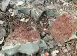 Полезен ли такой осадок для почвы?