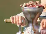 Существуют ли ручные мясорубки, которые можно мыть в посудомоечной машине?
