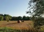 11 августа 2020 - начинаю забеги