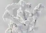 Удобный способ заготовок-заморозок