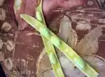 Как перерабатывать выращенную самостоятельно фасоль?