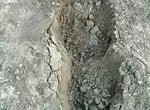 Бегом по торфяным полям