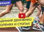 Лекция Владимира Демченко о коленях, стопах и связках
