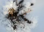 Лёд из желатина на мастике — не растает ли?