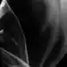 541472