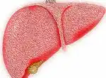 Какие продукты могли спровоцировать выброс желчи?