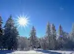 Виды закаливания и их польза