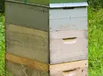 Пригоден ли для мастики загустевший натуральный мёд?