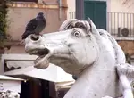 Из истории изучения шока