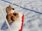 Почему некоторые, никогда в жизни не тренируясь, не толстеют?