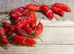 Можно ли заквасить острый перец без добавок?