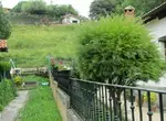 Комильясовские красоты
