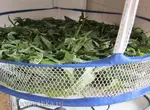 Двухъярусная сушилка для вяления чая