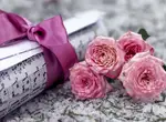 Январский сет-лист (2022)