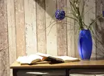 Как обустроить быт для здоровой жизни. Поддержание гигиены