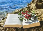 Книга подруги о жизни