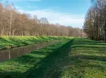 Время мульчирования лесных лугов влияет на разнообразие насекомых
