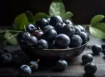 Выращивание голубики в средней полосе