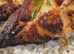 Палтус с мисо