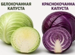 575575