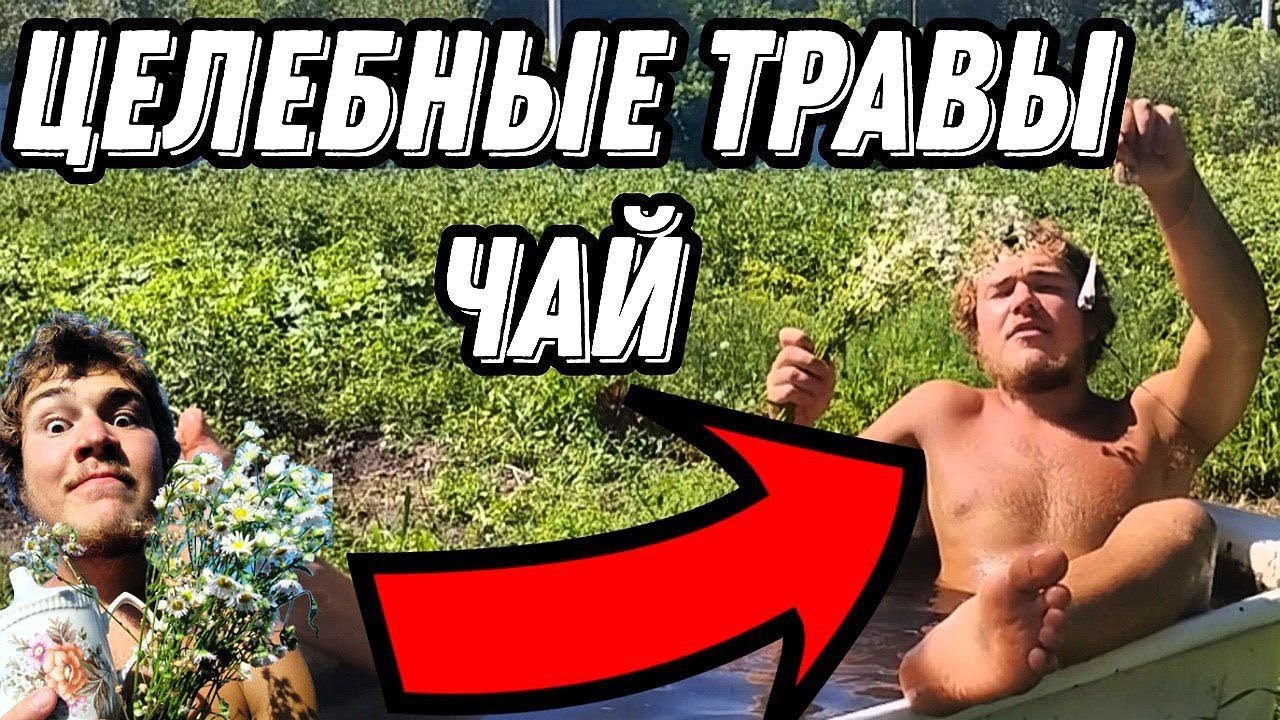 Чай и Целебные травы. Травяные сборы и Здоровье.