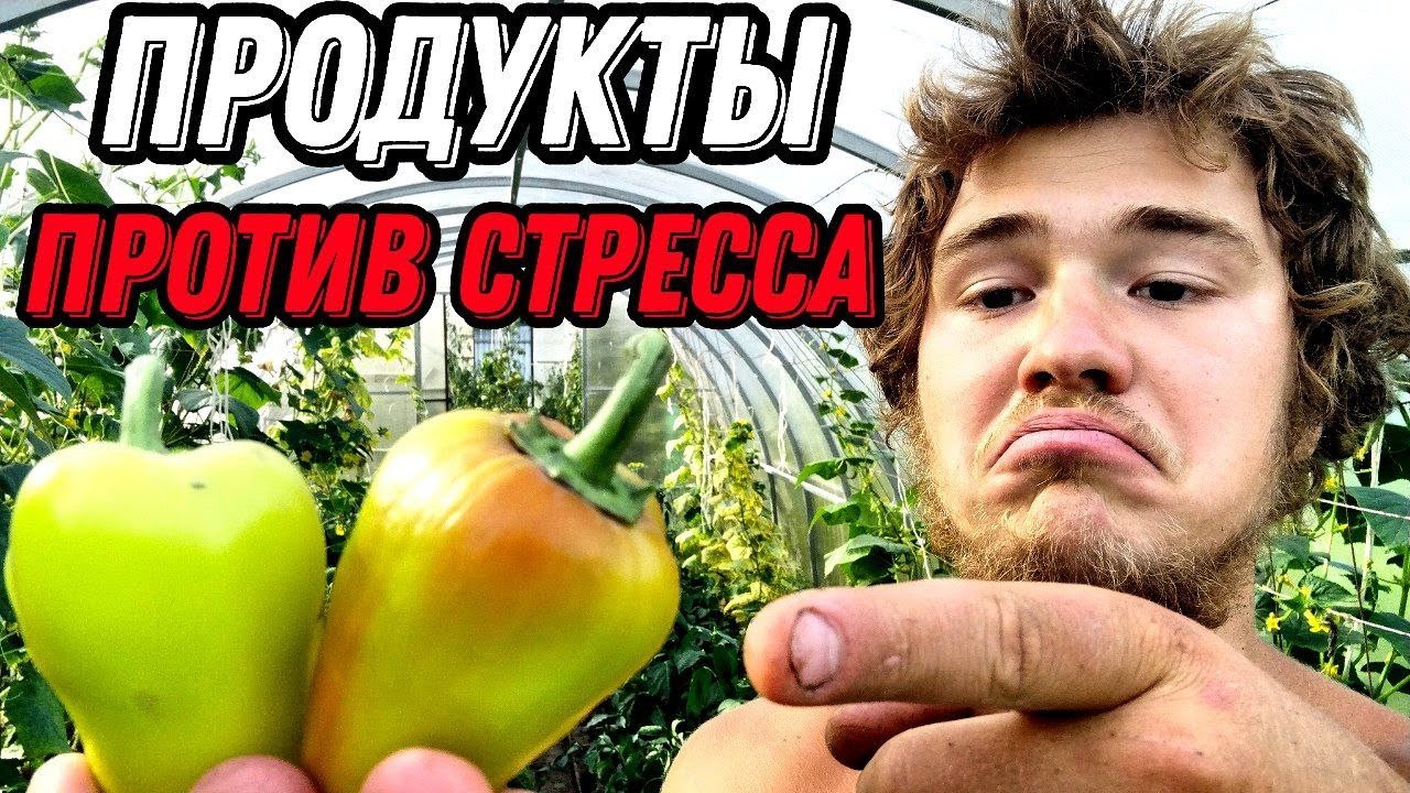 Продукты против СТРЕССА. Болгарский перец. Витамин С и хронический стресс.