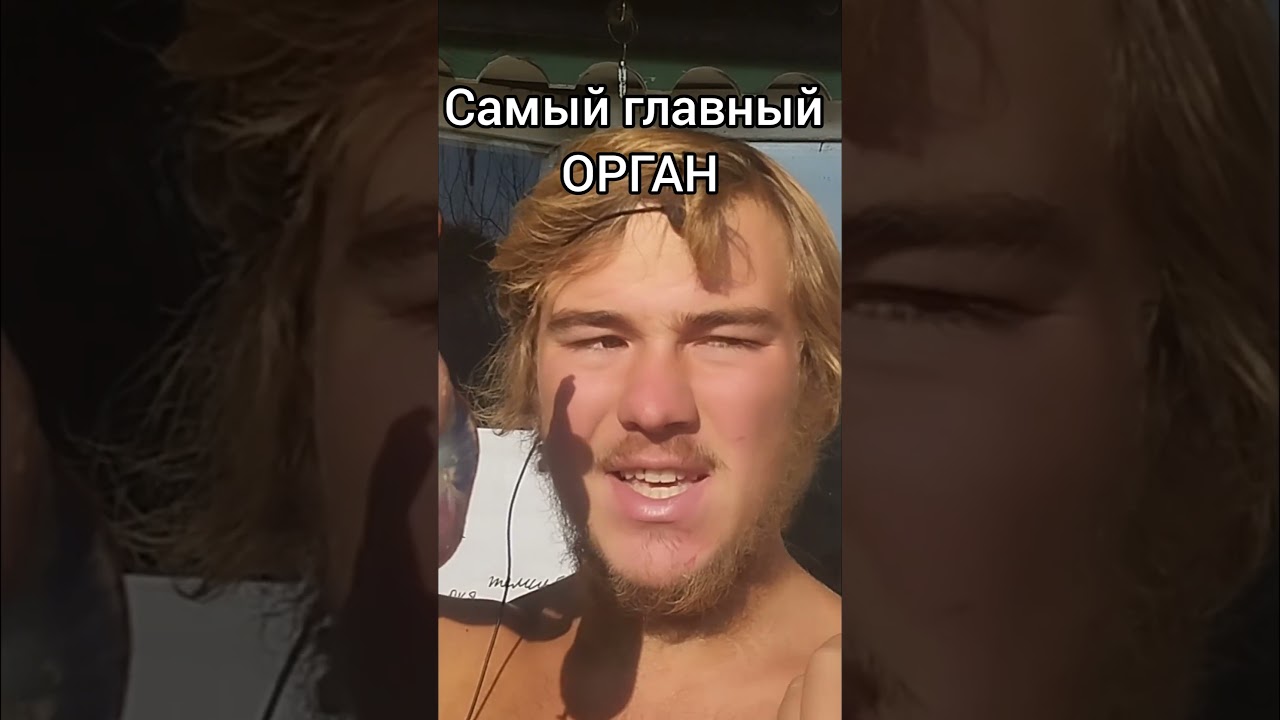 Желудок-самый ГЛАВНЫЙ ОРГАН #здоровоепитание